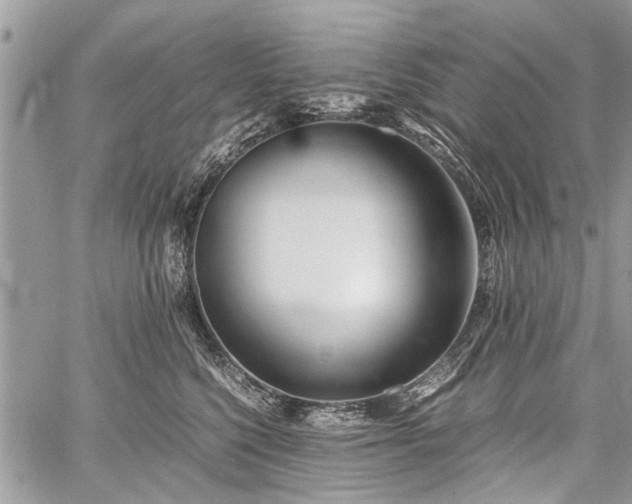 X0000059800568200510211054