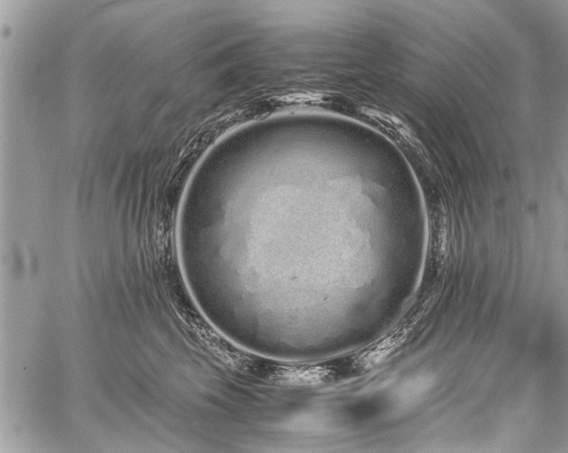 X0000059800569200510211054