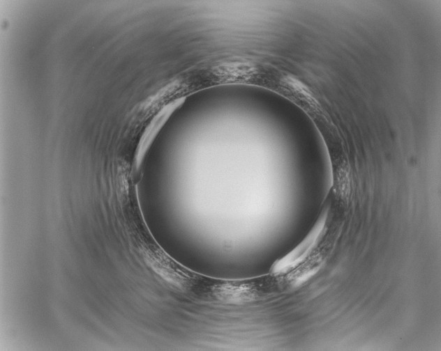 X0000059800570200510211054