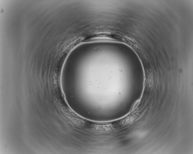 X0000059800571200510211054