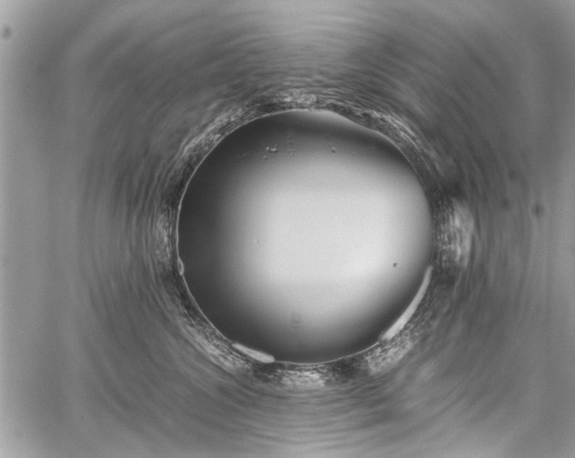 X0000059800572200510211055