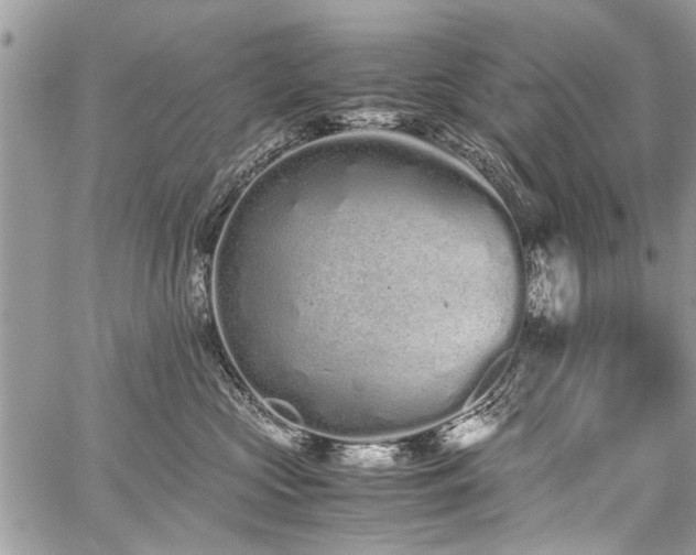 X0000059800573200510211055