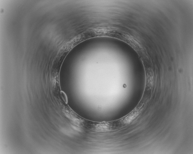 X0000059800574200510211055