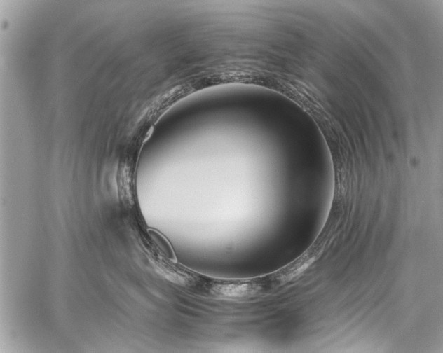 X0000059800575200510211055