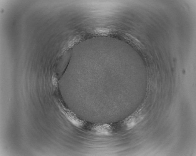 X0000059800576200510211055