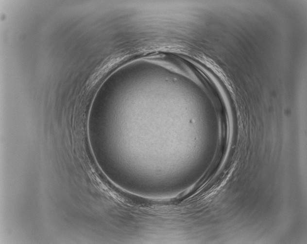 X0000059800577200510211054