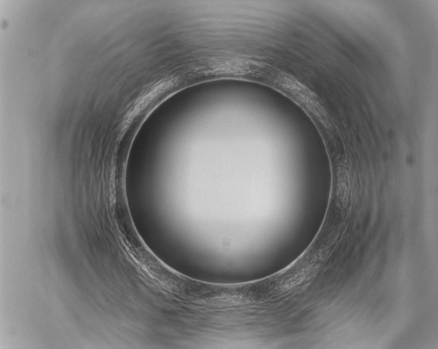 X0000059800578200510211054