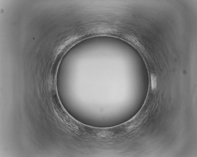 X0000059800579200510211054