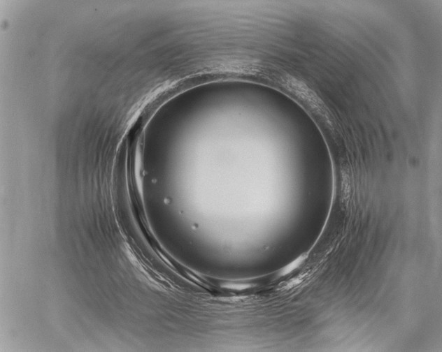 X0000059800580200510211054