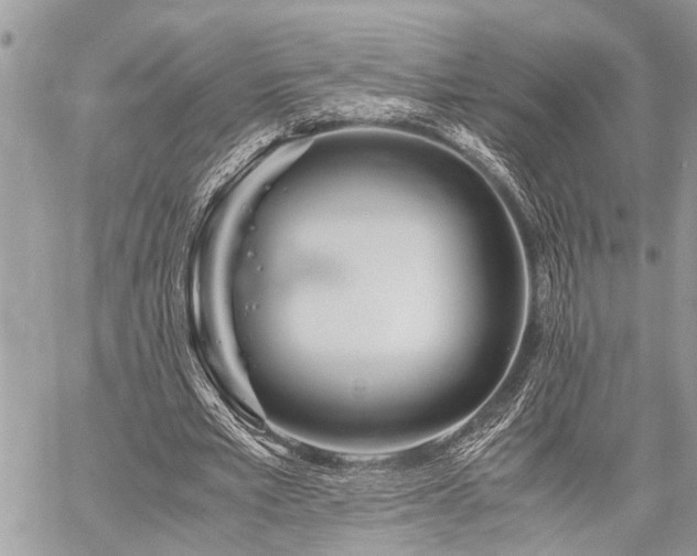 X0000059800581200510211054