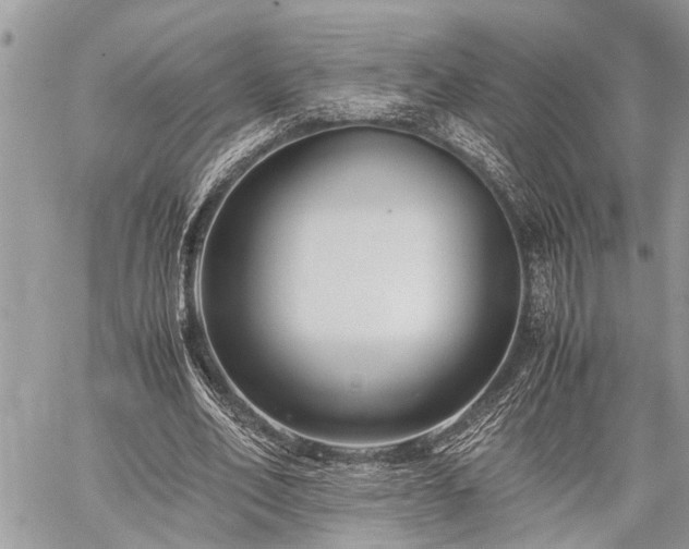 X0000059800582200510211054