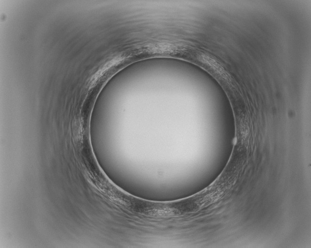 X0000059800583200510211054