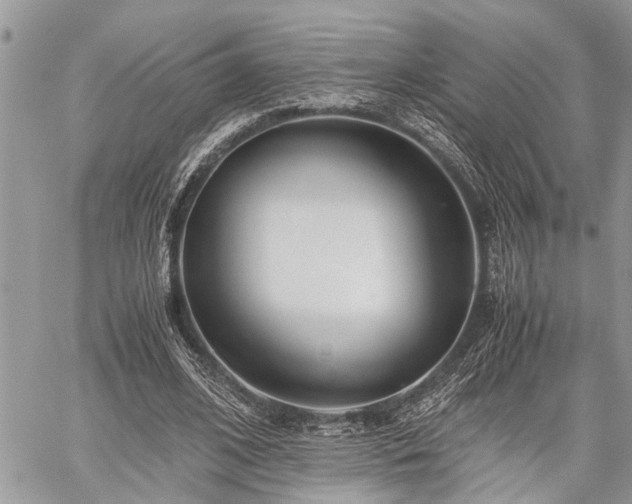 X0000059800584200510211054