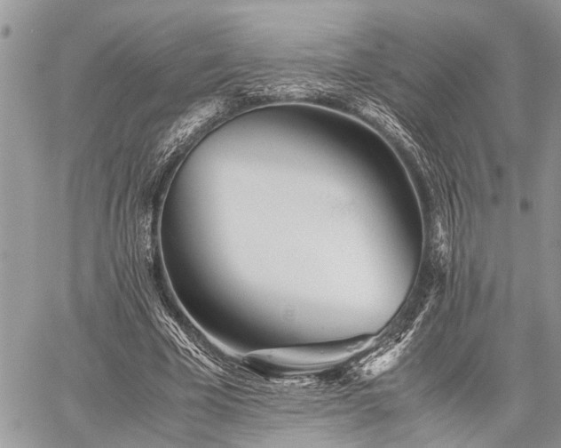 X0000059800585200510211054