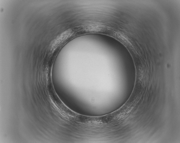 X0000059800586200510211054