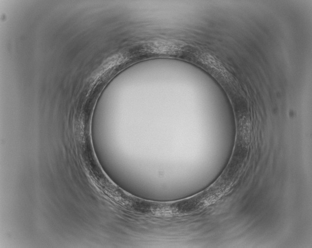 X0000059800587200510211054