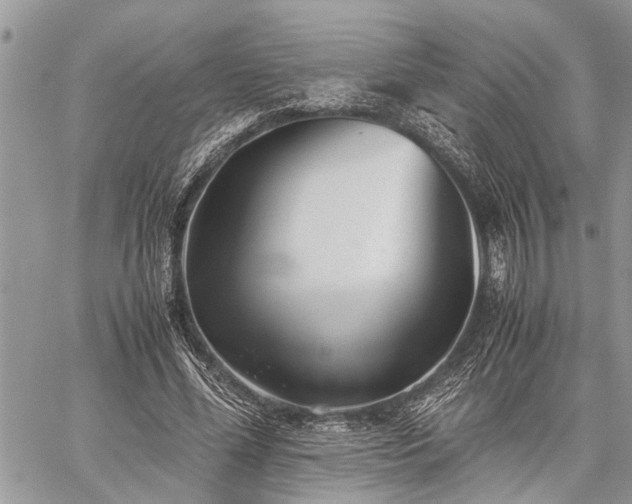 X0000059800588200510211054