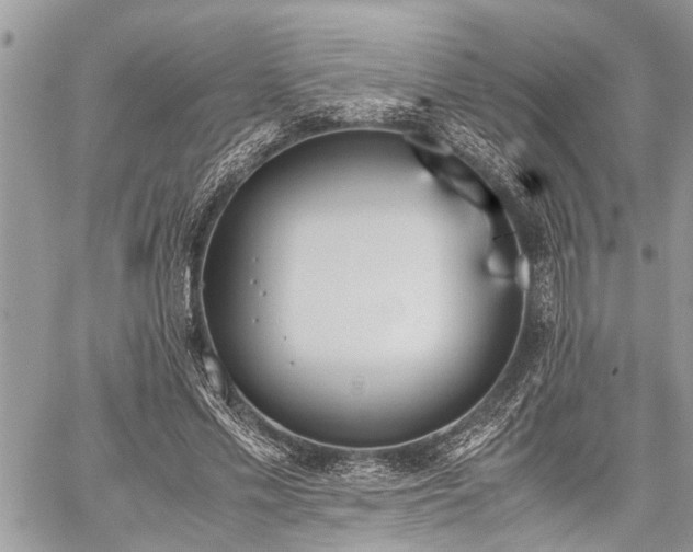 X0000059800589200510211054