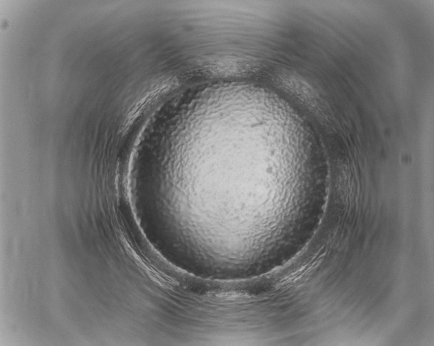 X0000059800590200510211054