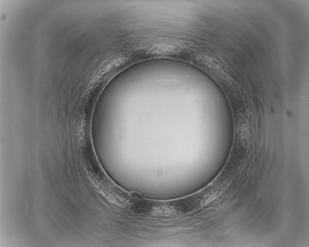 X0000059800591200510211054