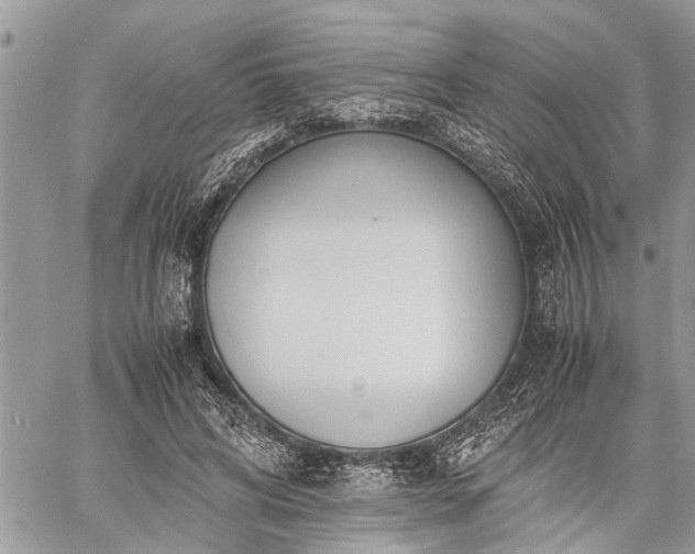 X0000059800592200510211054