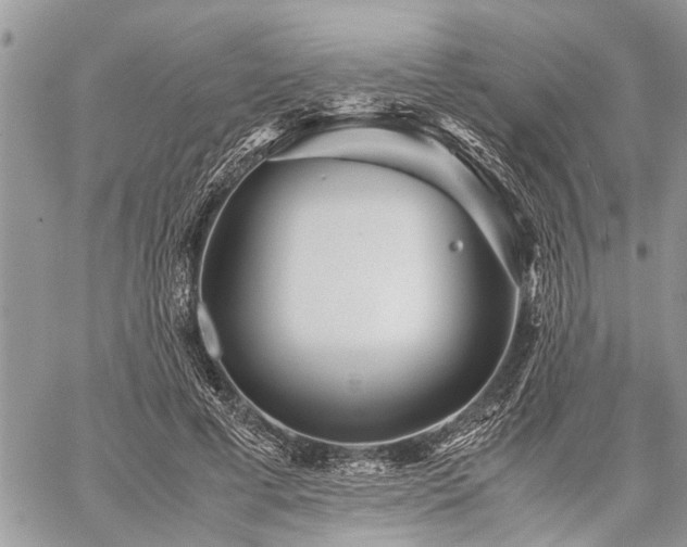 X0000059800593200510211054