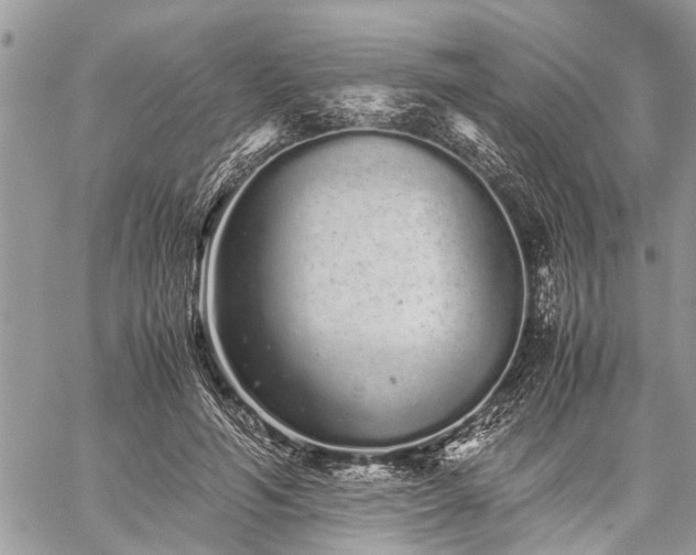 X0000059800594200510211054