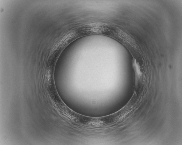 X0000059800595200510211053