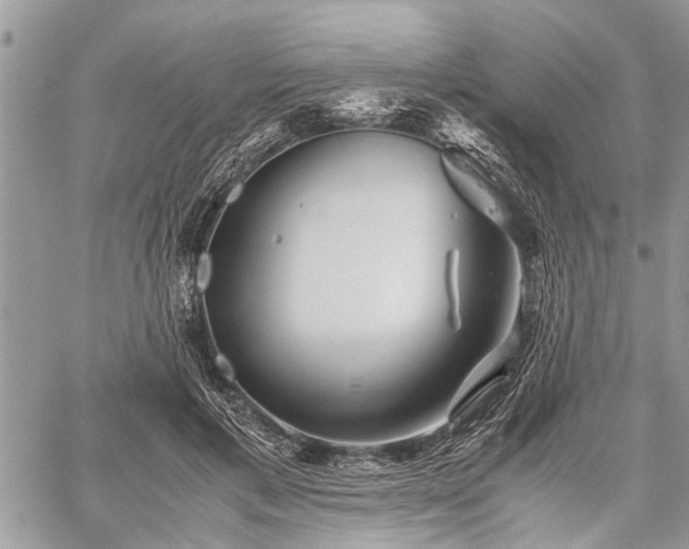 X0000059800597200510211053