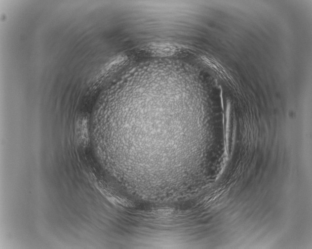 X0000059800598200510211053