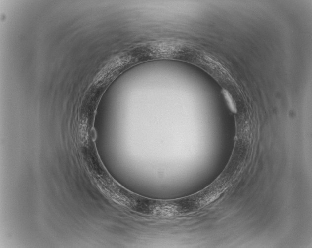 X0000059800599200510211053