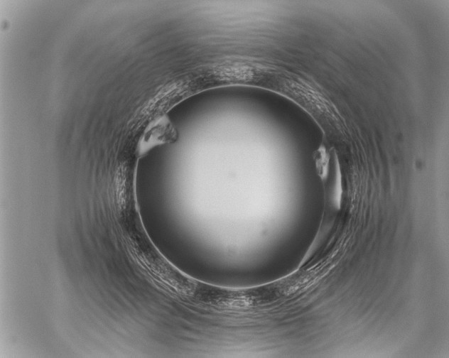 X0000059800600200510211053