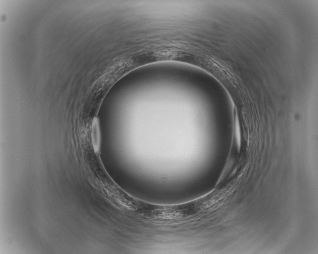 X0000059800601200510211053