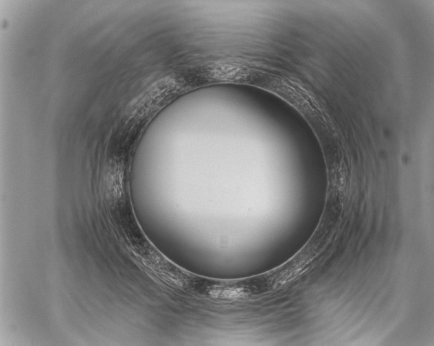 X0000059800602200510211053