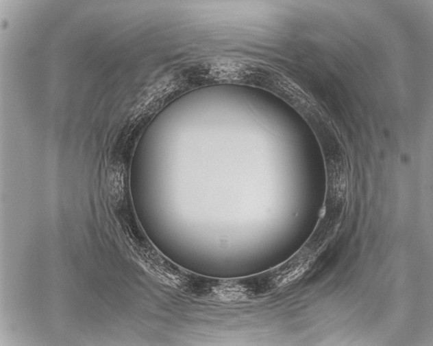 X0000059800603200510211053