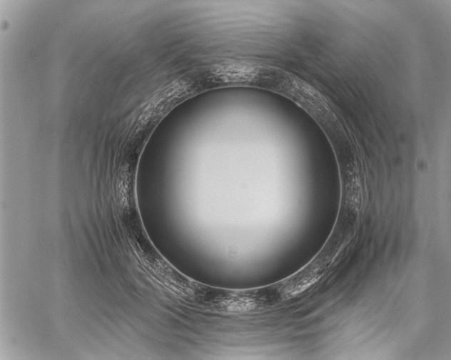 X0000059800604200510211053