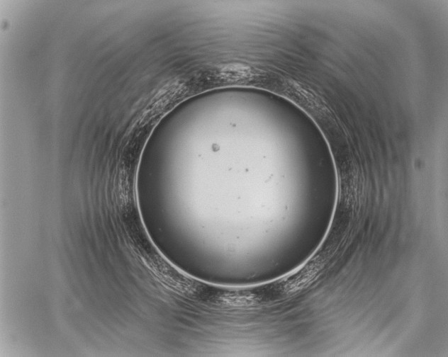 X0000059800606200510211053