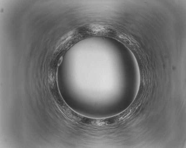 X0000059800607200510211053