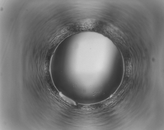 X0000059800608200510211053