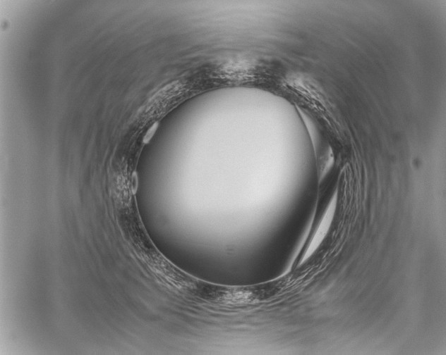 X0000059800609200510211053