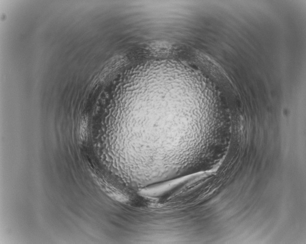 X0000059800610200510211053