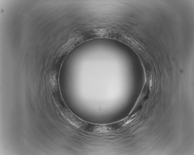 X0000059800611200510211053