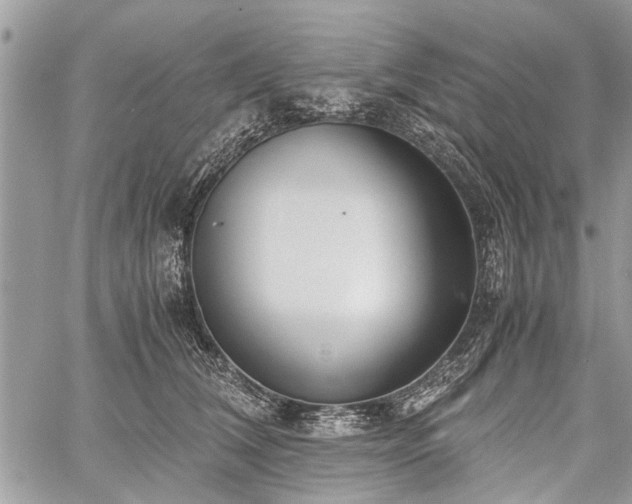 X0000059800612200510211053