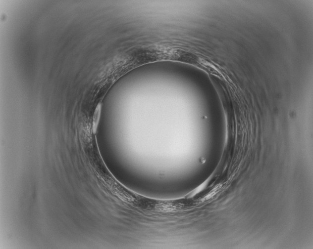 X0000059800613200510211053