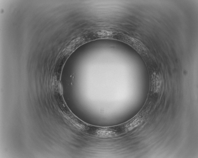 X0000059800614200510211053