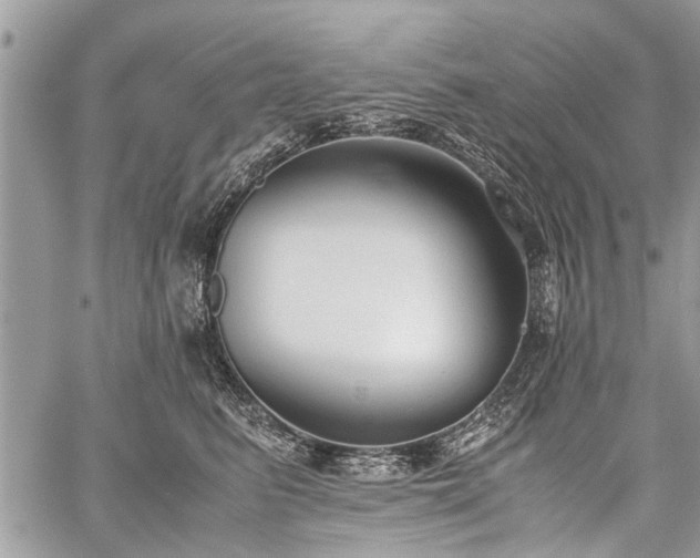 X0000059800615200510211053