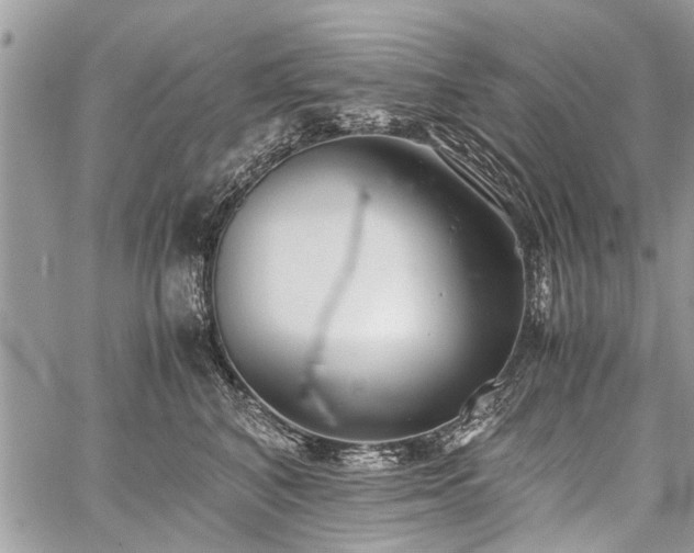 X0000059800616200510211053