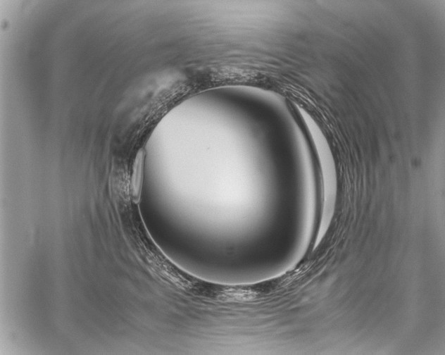 X0000059800617200510211053