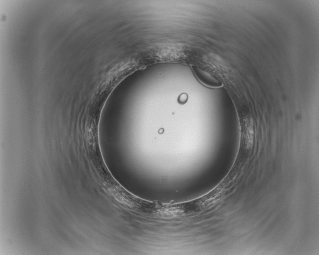 X0000059800619200510211053