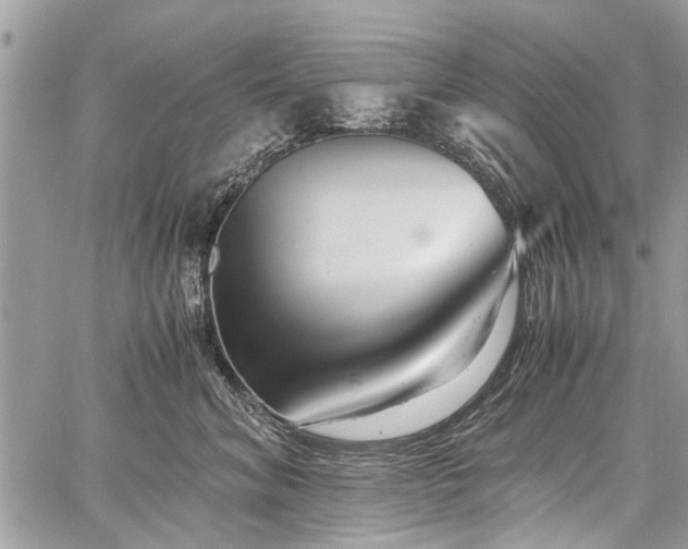 X0000059800620200510211053